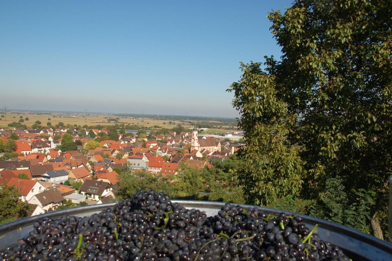 Hotel Riegeler Hof Kültér fotó